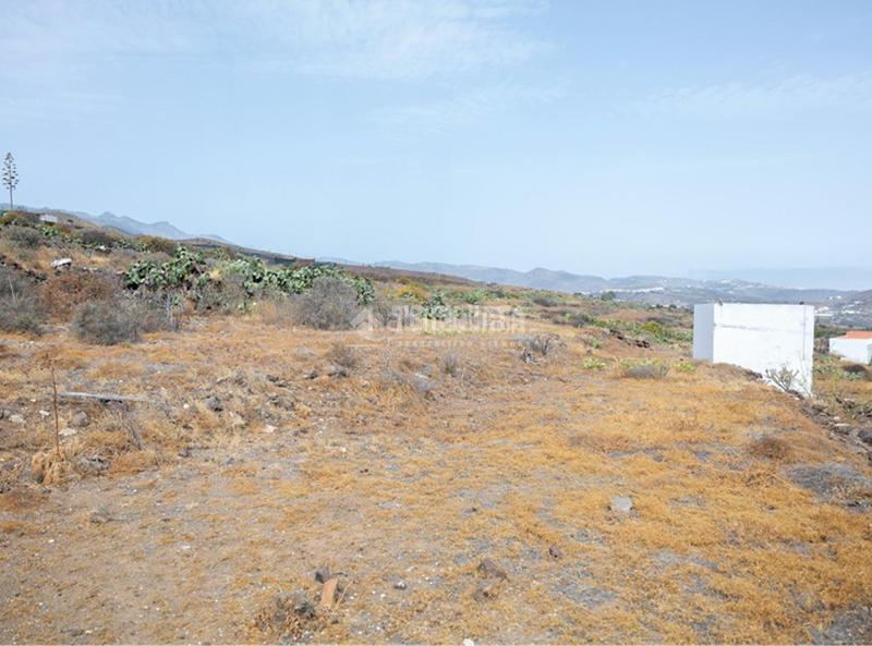 Foto 590224ec-a53d-41ec-bb02-04ea0f325930. Finca rústica terrenos en venta en Valle de los Nueve - El Ejido - Medianías Telde