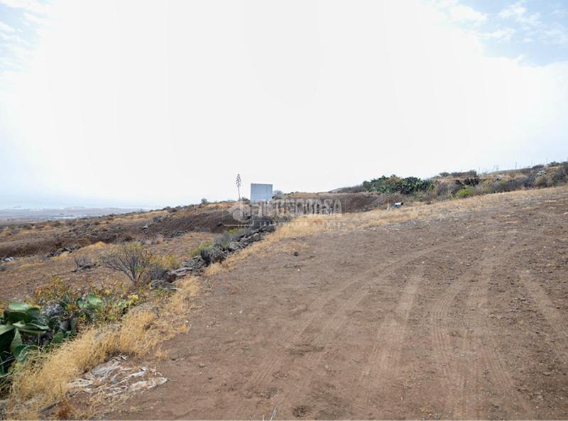 Foto 6000d8e9-d888-4db4-a469-ddf3d1b116bc. Finca rústica terrenos en venta en Valle de los Nueve - El Ejido - Medianías Telde
