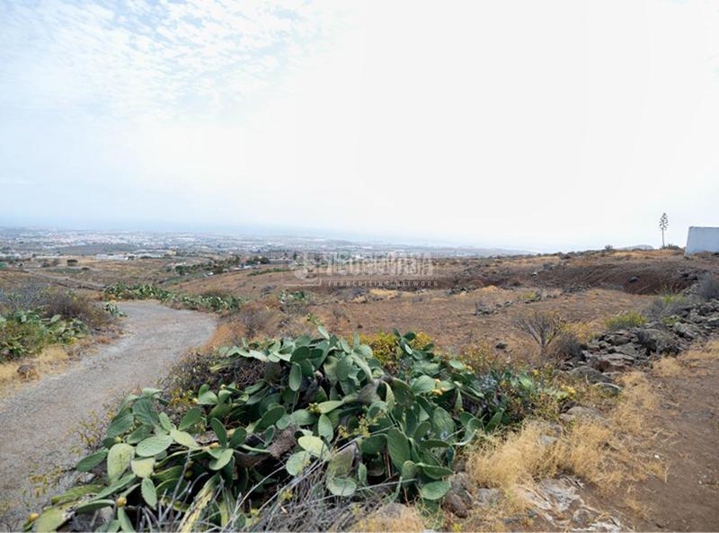 Foto 7a598933-6f35-4069-a7e2-af4029a5093d. Finca rústica terrenos en venta en Valle de los Nueve - El Ejido - Medianías Telde