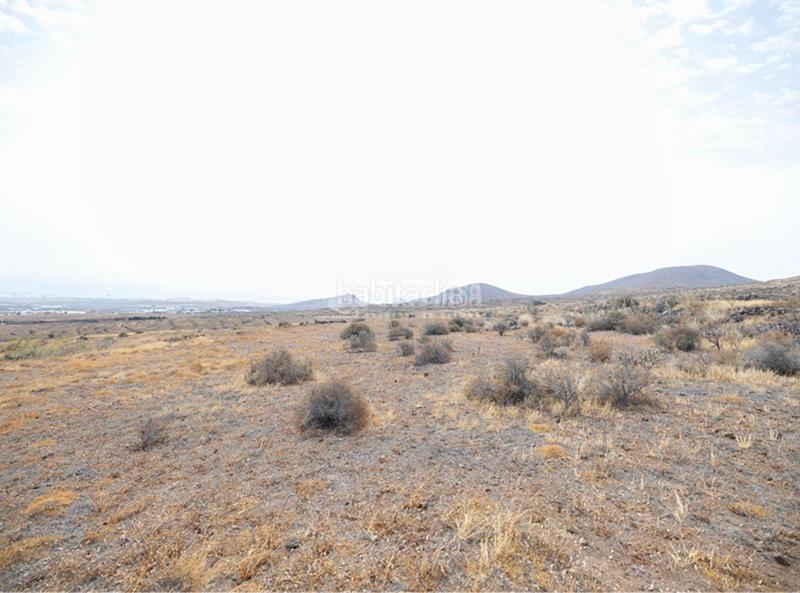 Foto a6571a8c-4dc9-4eea-a90c-2df04ebed50c. Finca rústica terrenos en venta en Valle de los Nueve - El Ejido - Medianías Telde