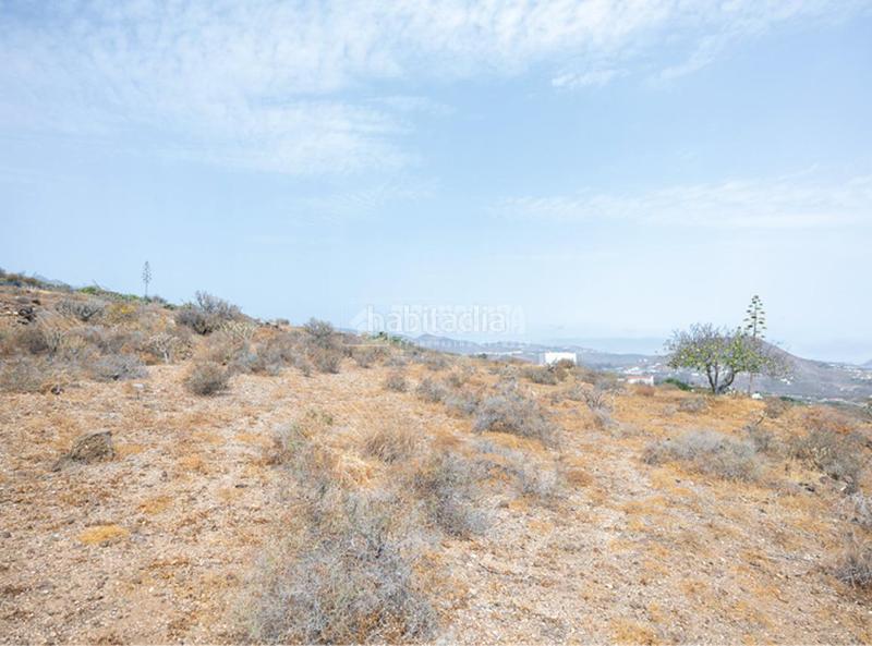Foto f118057f-1658-4608-9b1a-93bac08e83f7. Finca rústica terrenos en venta en Valle de los Nueve - El Ejido - Medianías Telde