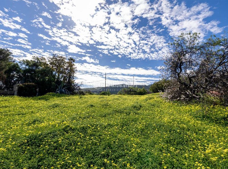 Foto 856aedd1-a3e3-4b9b-b5f7-b41a466e9003. Terreny residencial a Valsequillo de Gran Canaria