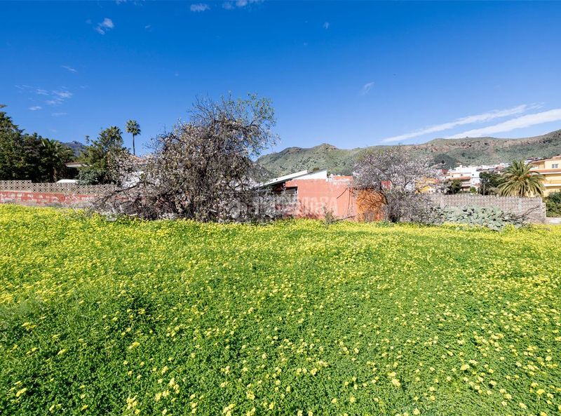 Foto 9b5aa8e6-4e40-4069-8e1a-56f0f7c46061. Terreny residencial a Valsequillo de Gran Canaria