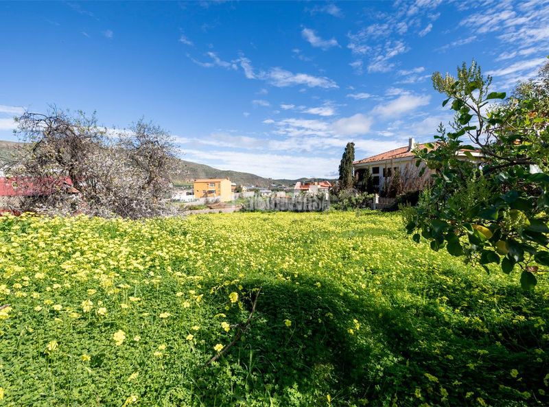 Foto b2ba131a-c5fd-4f7e-b63d-a69604221a59. Terreny residencial a Valsequillo de Gran Canaria