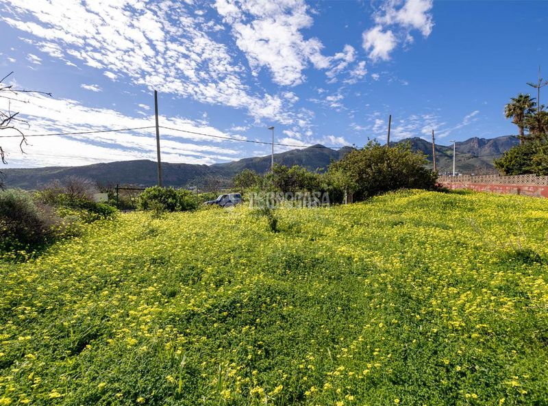 Foto e0503490-7929-41aa-a7fd-2a7adfbcb9e5. Terreny residencial a Valsequillo de Gran Canaria