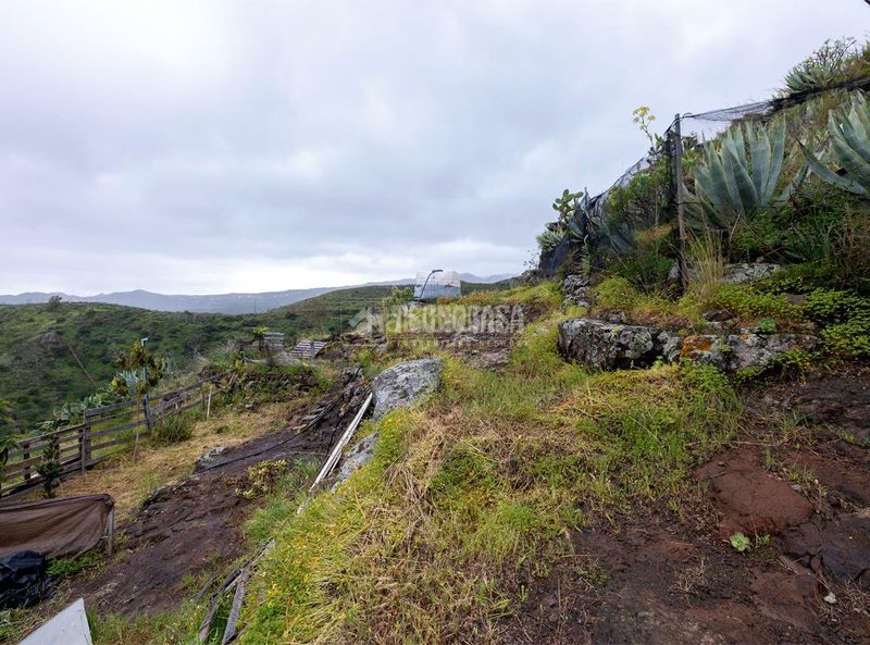 Foto ca3ae176-7bbd-4111-b189-2ea26f179bec. Casale in Caserones - La Higuera Telde
