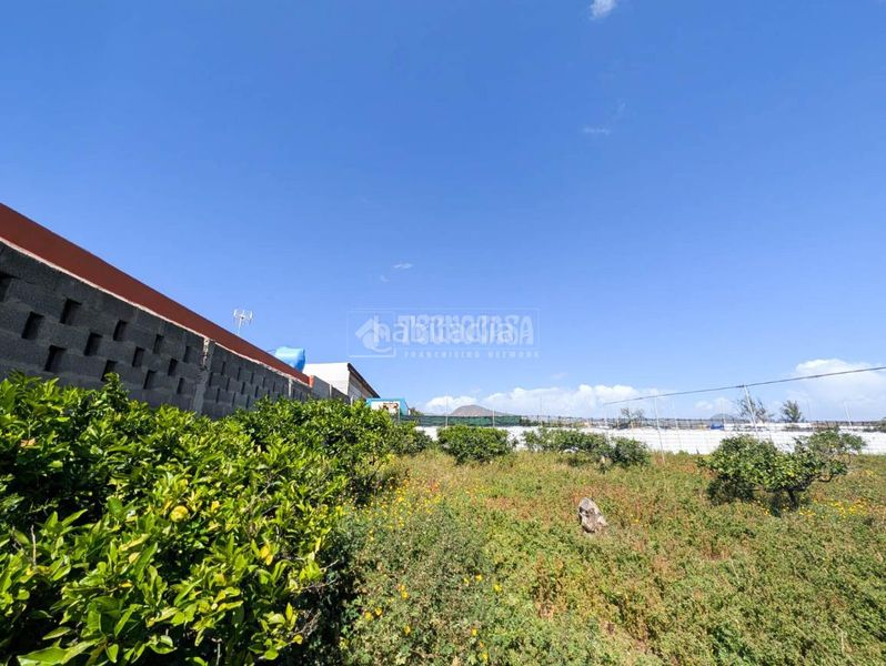 Foto 227aa156-7a9f-41df-a5fd-b370afd58e9b. Finca rústica terrenos en venta en Callejón del Castillo - El Calero - Las Huesas Telde