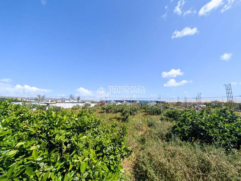 Foto 4a88231d-223d-4d28-8abc-01be3d9e9bbd. Finca rústica terrenos en venta en Callejón del Castillo - El Calero - Las Huesas Telde