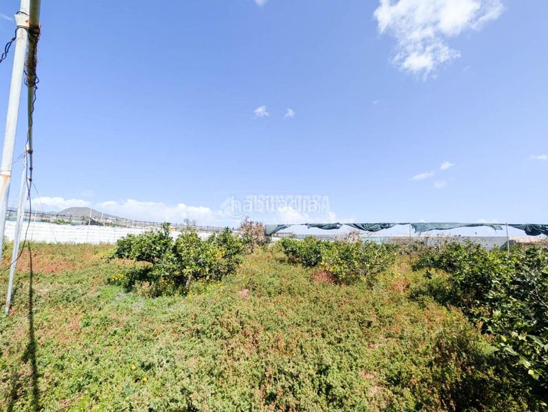 Foto 52091618-f421-4534-9708-1b5fd3904361. Finca rústica terrenos en venta en Callejón del Castillo - El Calero - Las Huesas Telde