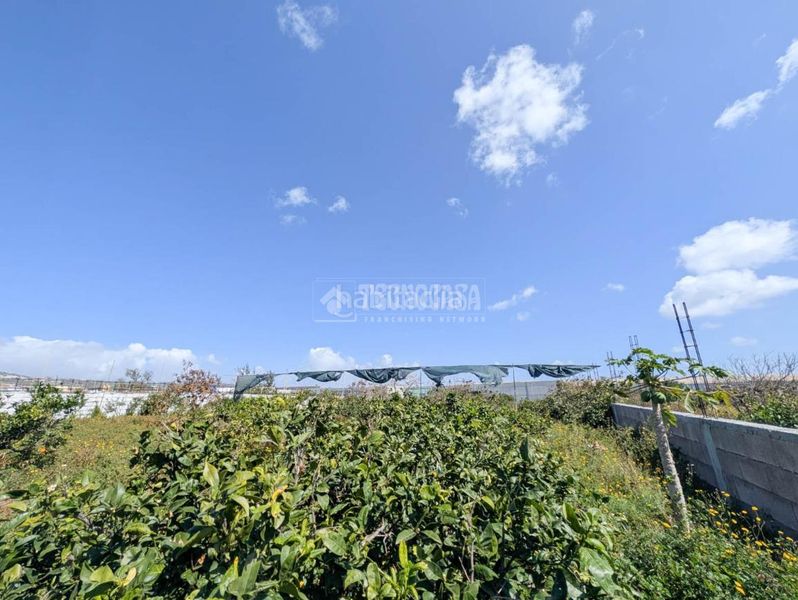 Foto 6231cbc7-b2d6-401a-9e54-f8f30cd4dcb4. Finca rústica terrenos en venta en Callejón del Castillo - El Calero - Las Huesas Telde