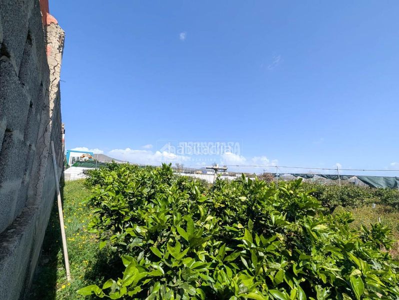 Foto 6f22e87a-4ecf-48ad-b0ad-07463035a467. Finca rústica terrenos en venta en Callejón del Castillo - El Calero - Las Huesas Telde