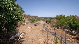 Finca rústica a Valsequillo de Gran Canaria. Terrenos en venta en valsequillo de gran canaria