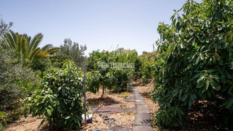Foto 07ee6202-3061-47fe-9d0d-0761b2137dee. Finca rústica terrenos en venta en Valsequillo de Gran Canaria