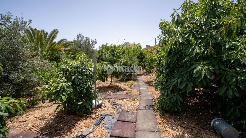 Foto 23618435-fb6d-4fe8-81e2-4cd282031b41. Finca rústica terrenos en venta en Valsequillo de Gran Canaria