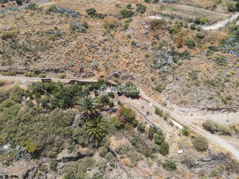 Foto 77161e74-a1e9-4238-9739-48cd33734d5a. Finca rústica terrenos en venta en Valsequillo de Gran Canaria