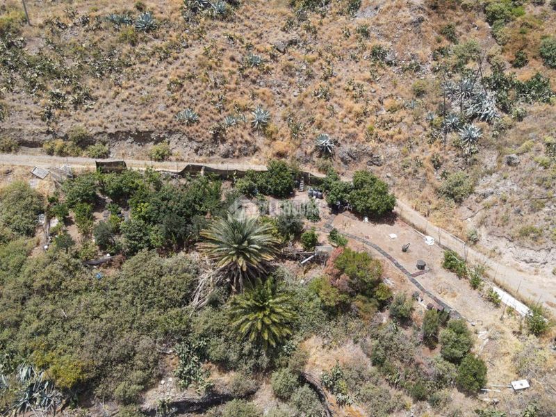 Foto 80996395-8c30-4fc0-a42e-e43e55a17e6d. Finca rústica terrenos en venta en Valsequillo de Gran Canaria