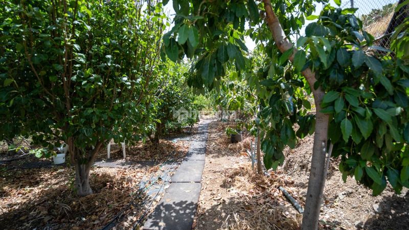 Foto 8c3143cb-6023-46d4-b9f4-f5890d271985. Finca rústica terrenos en venta en Valsequillo de Gran Canaria