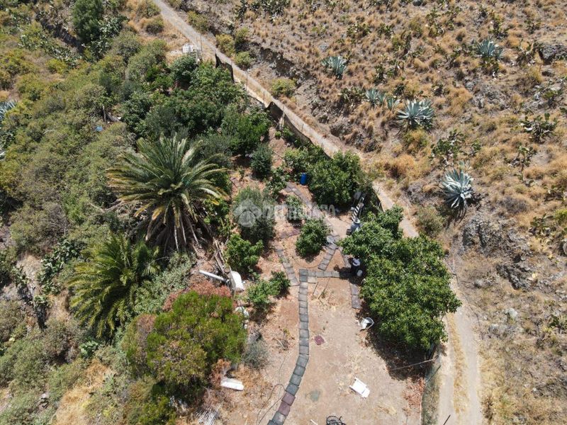 Foto b49e70da-4ca7-4e5a-891d-ff67bef44042. Finca rústica terrenos en venta en Valsequillo de Gran Canaria