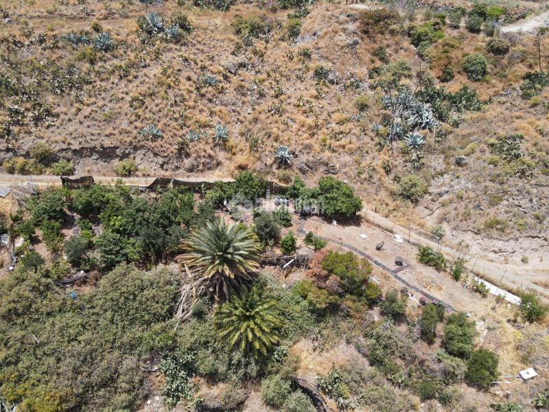 Foto c2f74d42-13ce-4e65-aa3f-483c25ae5c9e. Finca rústica terrenos en venta en Valsequillo de Gran Canaria
