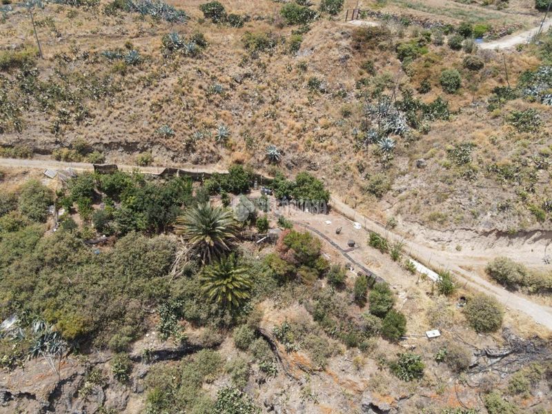 Foto fca2a8d0-8266-4d36-bb4c-c5aa4ae8d6ed. Finca rústica terrenos en venta en Valsequillo de Gran Canaria