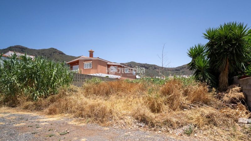 Foto 7be96001-1630-49d6-adb1-dac13dd60c51. Terreny residencial a San Gregorio Telde