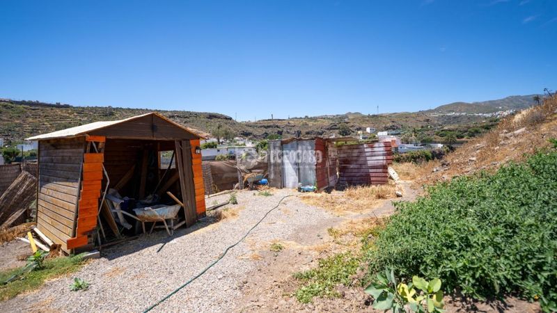 Foto 49d1d33f-3ffa-49af-a450-ab00d1e0b10f. Finca rústica terrenos en venta en Valle de los Nueve - El Ejido - Medianías Telde