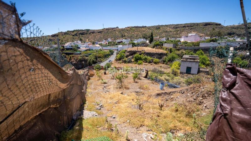 Foto bd160316-3812-48b9-80fb-a0f924f03342. Finca rústica terrenos en venta en Valle de los Nueve - El Ejido - Medianías Telde