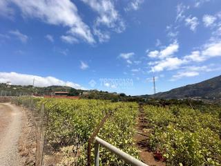 Finca rstica en Valsequillo de Gran Canaria. Terrenos en venta en telde