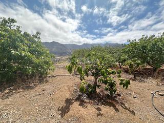 Finca rstica en Valsequillo de Gran Canaria. Terrenos en venta en valsequillo de gran canaria