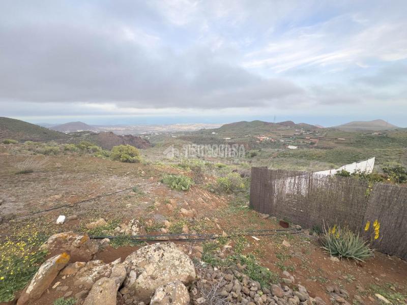 Foto 0bafcfca-dfea-4167-bf1f-eb841136eccf. Finca rústica terrenos en venta en Valle de los Nueve - El Ejido - Medianías Telde