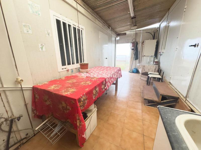 Foto 15aa3441-e150-48dc-9feb-5af529286634. Finca rústica terrenos en venta en Valle de los Nueve - El Ejido - Medianías Telde