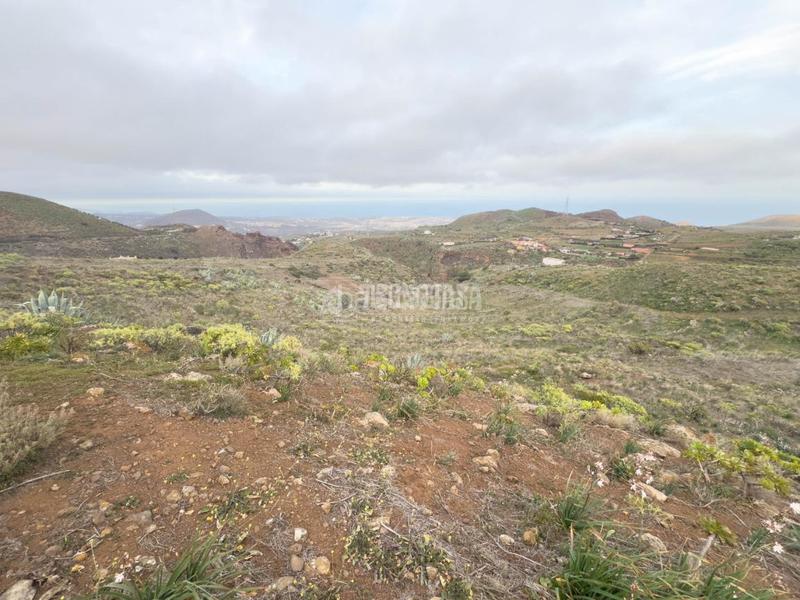 Foto 322f6475-1382-45c8-8709-30eacbfcffc3. Finca rústica terrenos en venta en Valle de los Nueve - El Ejido - Medianías Telde