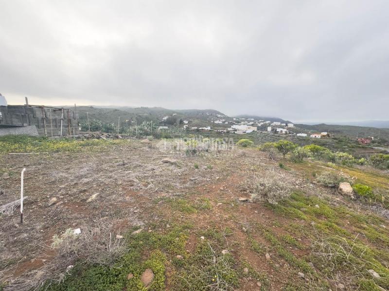 Foto 34a4d458-9684-45ce-95be-ee73b53ec2cf. Finca rústica terrenos en venta en Valle de los Nueve - El Ejido - Medianías Telde
