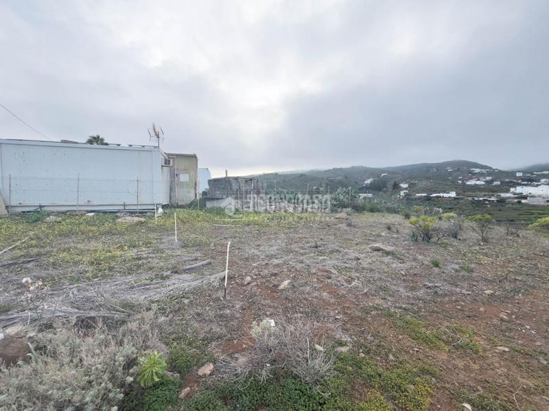 Foto 4093fd56-ac75-42b8-8cb8-3f7d3ed32a3e. Finca rústica terrenos en venta en Valle de los Nueve - El Ejido - Medianías Telde