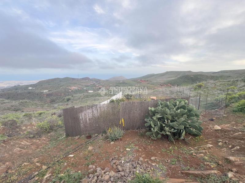 Foto 52db87d9-483e-465c-ace6-c352c0e357eb. Finca rústica terrenos en venta en Valle de los Nueve - El Ejido - Medianías Telde