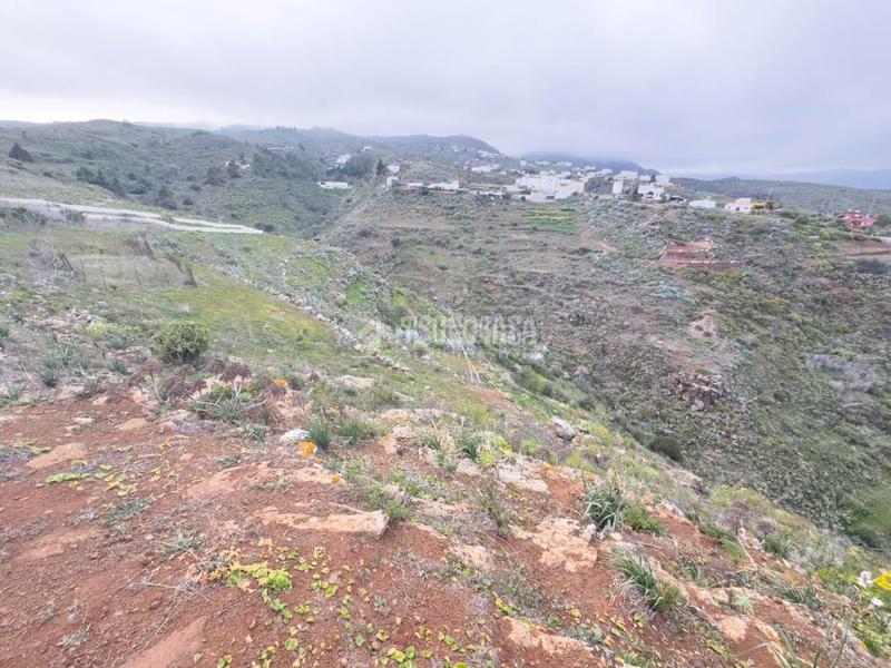 Foto 5925a220-4323-4f94-b84f-3f73fbbf1c22. Finca rústica terrenos en venta en Valle de los Nueve - El Ejido - Medianías Telde