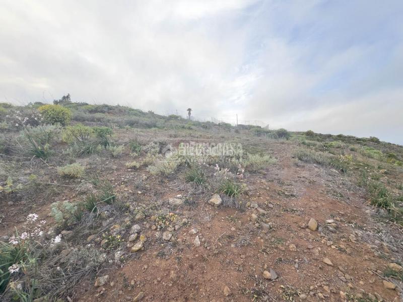 Foto 6b08ed53-a02a-4d02-aea1-a808fb6f9c30. Finca rústica terrenos en venta en Valle de los Nueve - El Ejido - Medianías Telde