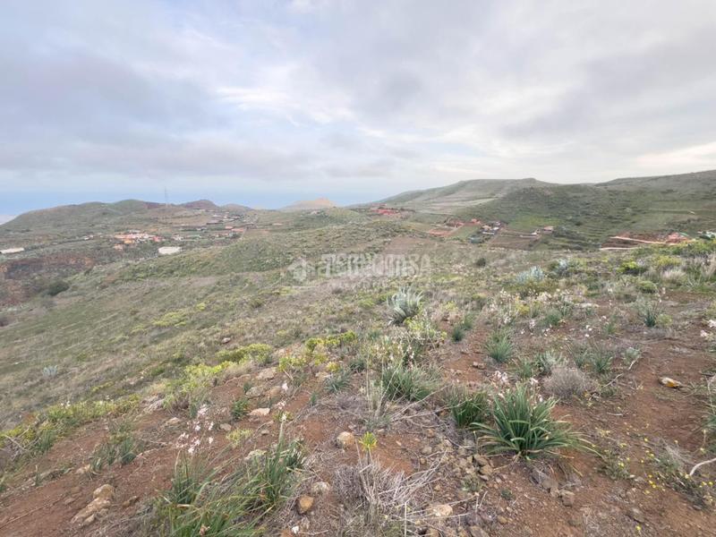 Foto b8ef8e3c-34a1-47a2-af1f-e9ad28742c9c. Finca rústica terrenos en venta en Valle de los Nueve - El Ejido - Medianías Telde