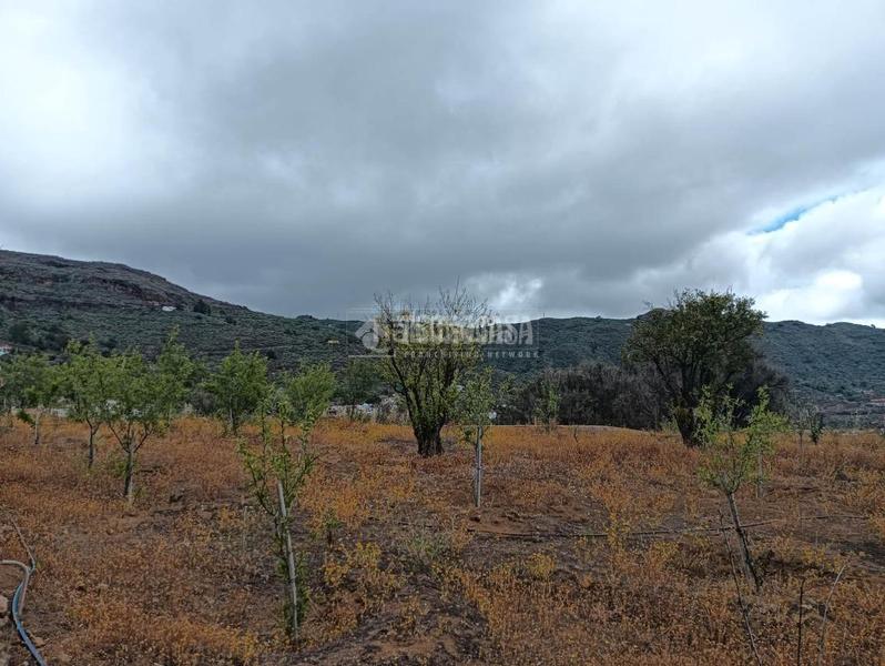 Foto 4cd85c2a-7cea-48f4-bae7-fdabdaa91aab. Finca rústica a Valsequillo de Gran Canaria