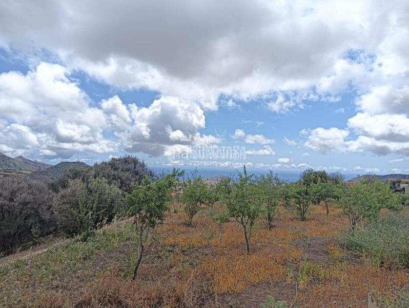 Foto fcd10ca3-ccd3-4714-b419-5fa3f89b2689. Finca rústica a Valsequillo de Gran Canaria
