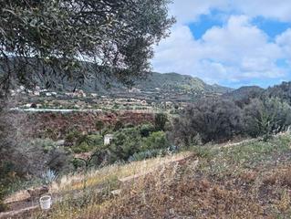 Finca rstica en Valsequillo de Gran Canaria. Terrenos en venta en valsequillo de gran canaria