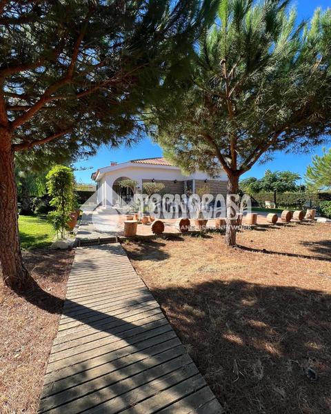 Foto 6fae0a17-e6ba-454c-9bc0-9eeaaa20bdd2. Maison dans Ayamonte ciudad Ayamonte