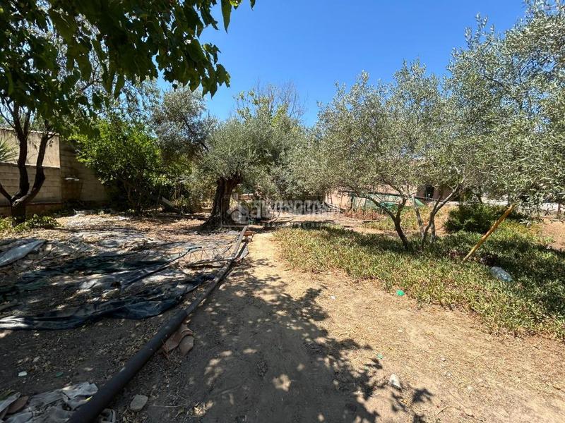 Foto 683bb025-43ab-45f1-9b51-ddddaec907e6. Masía casa rural en venta en Baeza