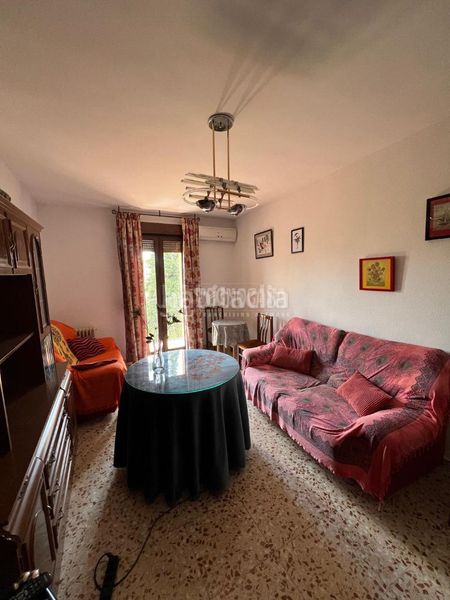 Foto 0d46eac8-a71f-4c40-83cc-3fe024641525. Pis a Baeza