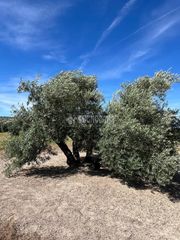 Landgut in Lupión. Terrenos en venta en lupión