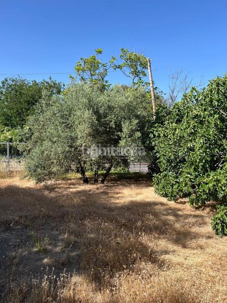 Foto dfe33d70-ad0f-42ba-9f30-a16933136373. Masia amb calefacció aparcament a Baeza