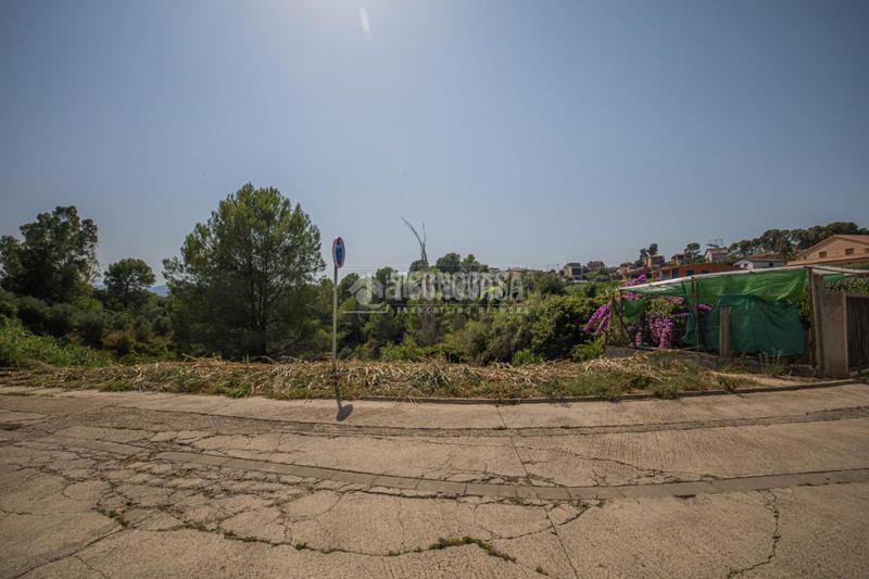 Foto eef810b1-5dfd-4483-961e-c605a0392d35. Terreny residencial a Els Avets-Can Serrafossà-Ximelis Rubí