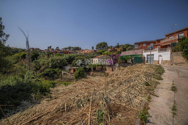 Foto f9f73581-6b66-4623-9f6f-6b37ccdc5e64. Terreny residencial a Els Avets-Can Serrafossà-Ximelis Rubí