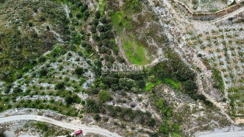 Foto 429219d4-0da8-4f3f-84df-b4475577b3b8. Rural plot in Motril ciudad Motril