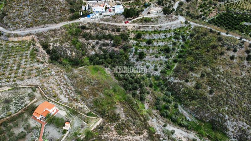 Foto 42aaf03b-2ae6-4379-9915-b8f1d9c3133f. Rural plot in Motril ciudad Motril